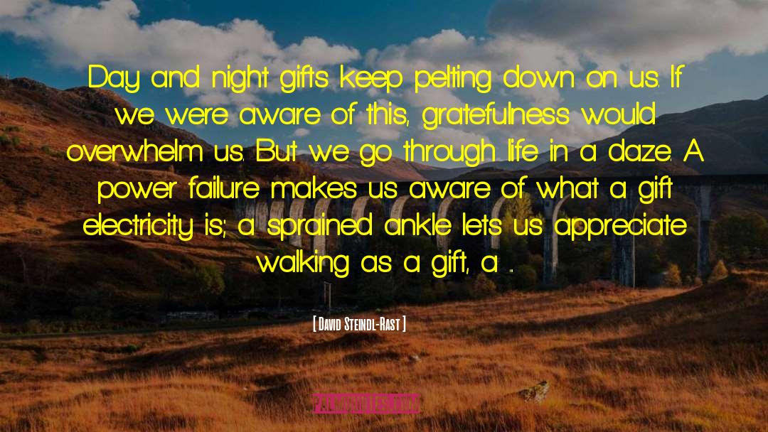 David Steindl-Rast Quotes: Day and night gifts keep