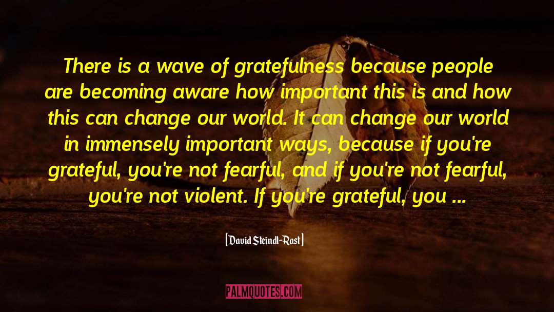 David Steindl-Rast Quotes: There is a wave of