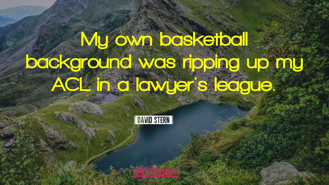 David Stern Quotes: My own basketball background was