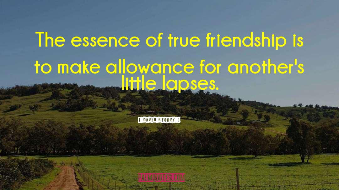 David Storey Quotes: The essence of true friendship