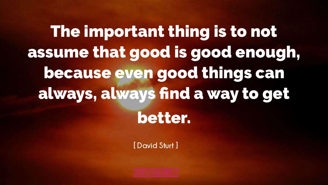 David Sturt Quotes: The important thing is to