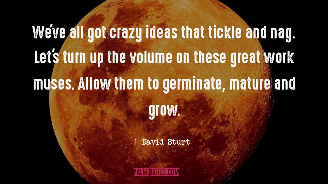 David Sturt Quotes: We've all got crazy ideas