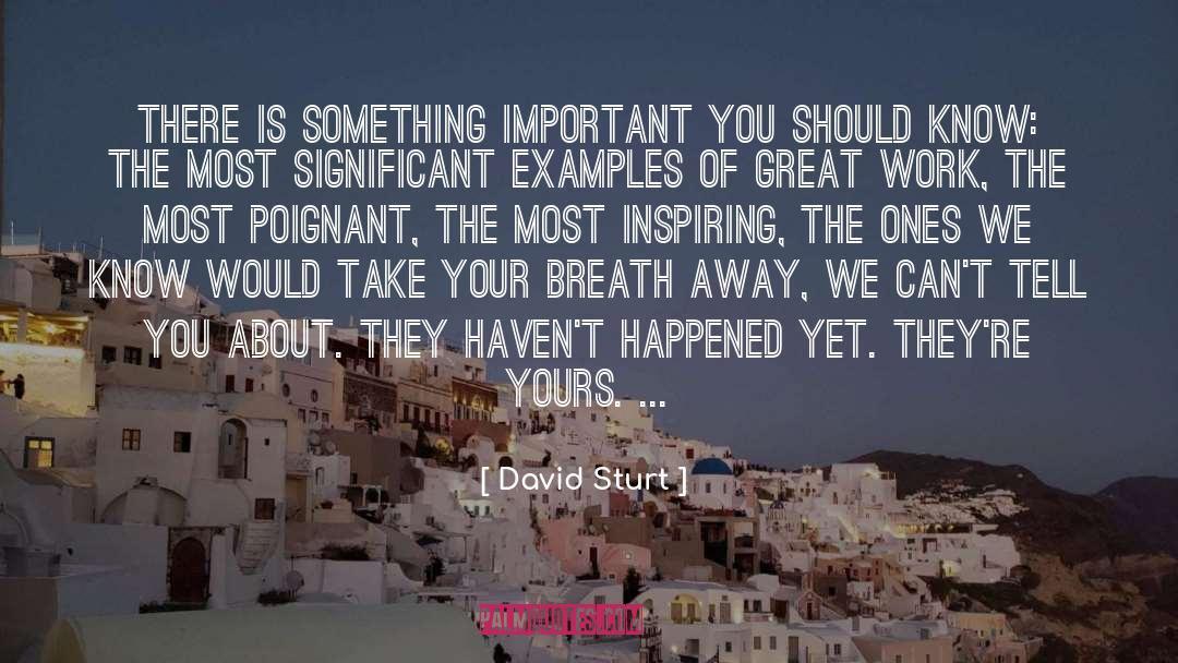 David Sturt Quotes: There is something important you