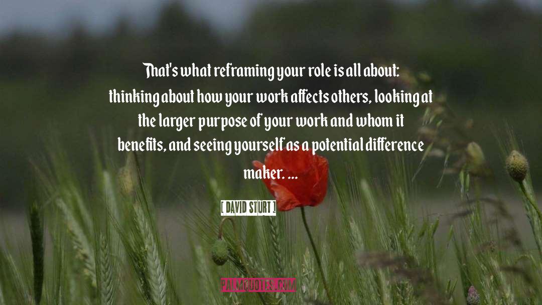 David Sturt Quotes: That's what reframing your role