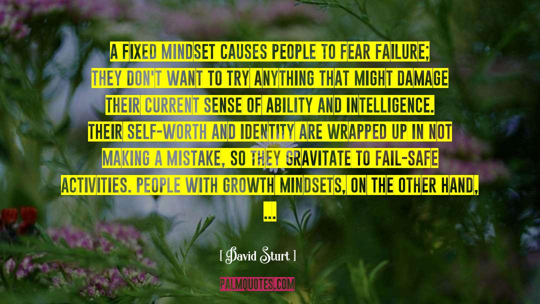 David Sturt Quotes: A fixed mindset causes people