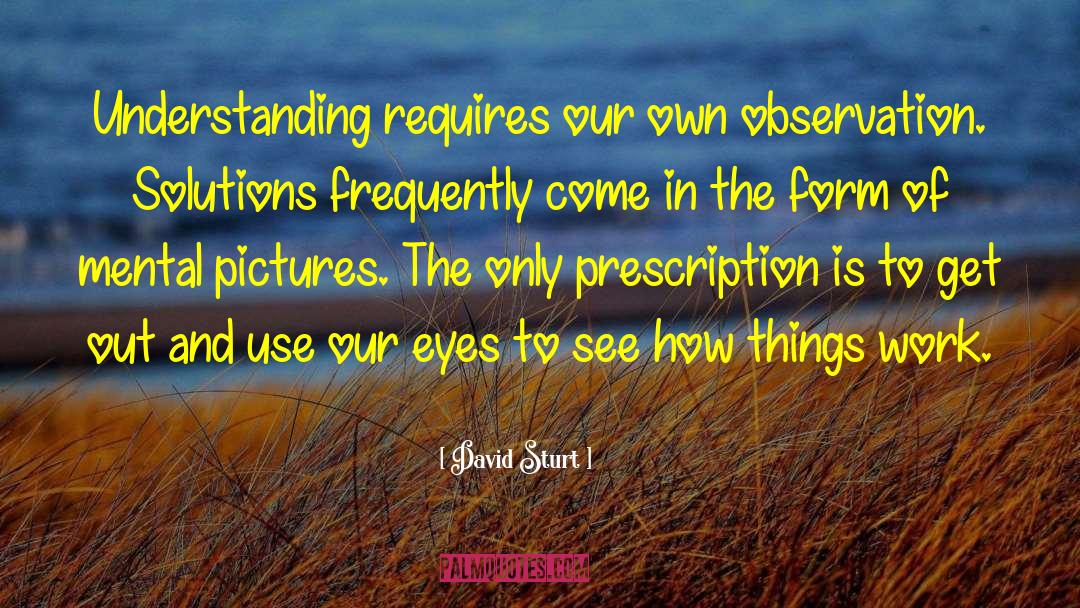 David Sturt Quotes: Understanding requires our own observation.