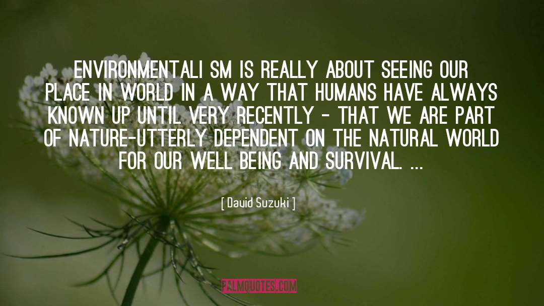 David Suzuki Quotes: Environmentali sm is really about