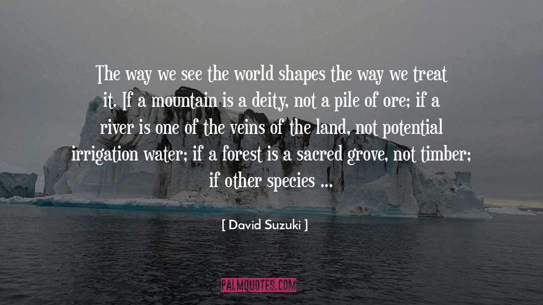David Suzuki Quotes: The way we see the