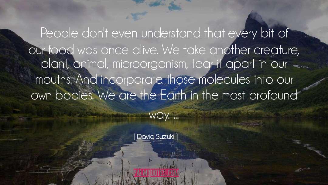 David Suzuki Quotes: People don't even understand that