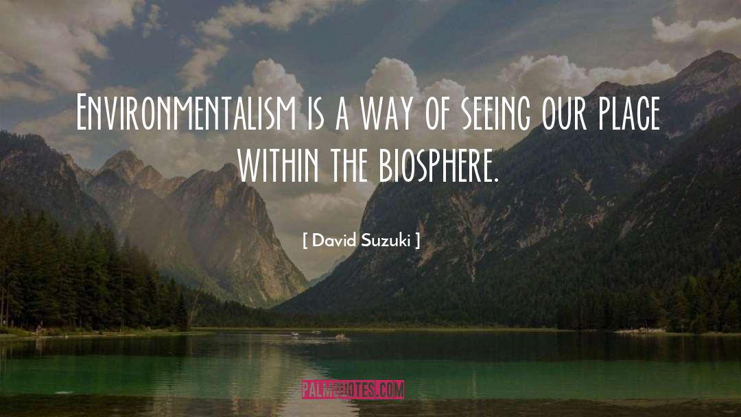 David Suzuki Quotes: Environmentalism is a way of