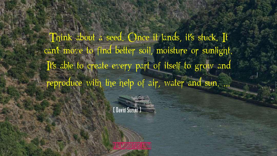 David Suzuki Quotes: Think about a seed. Once