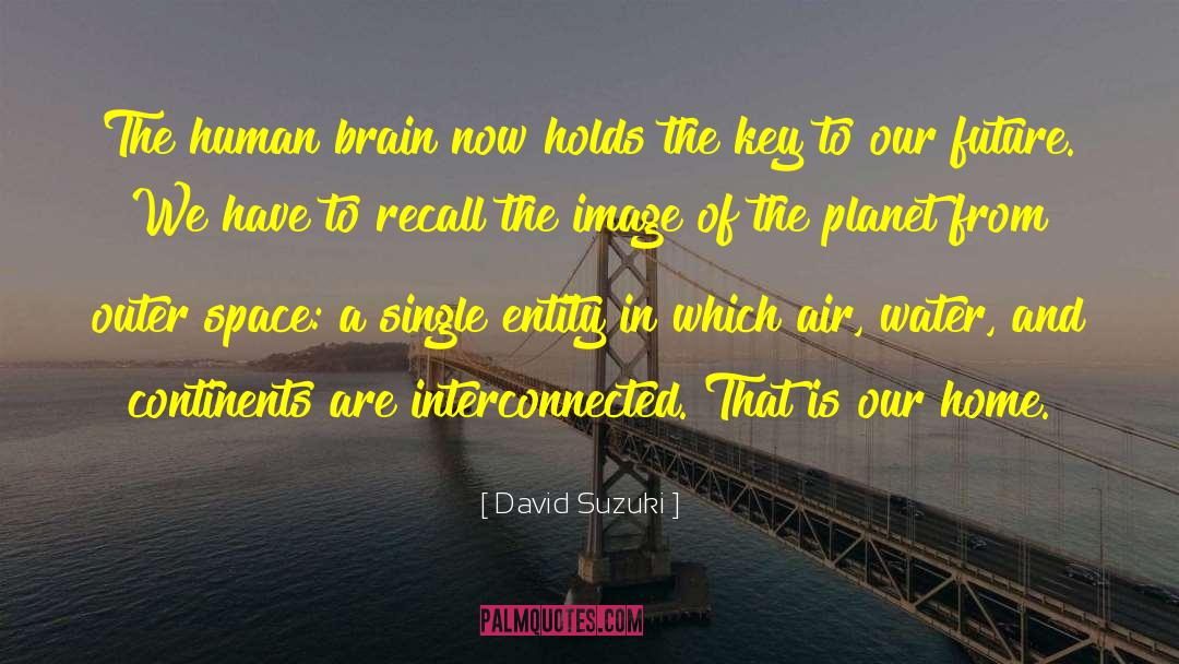 David Suzuki Quotes: The human brain now holds