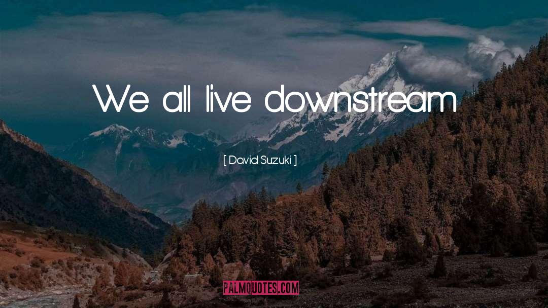 David Suzuki Quotes: We all live downstream