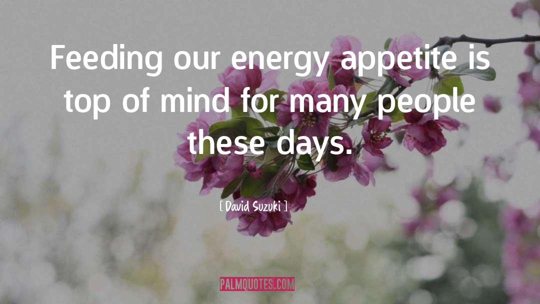 David Suzuki Quotes: Feeding our energy appetite is