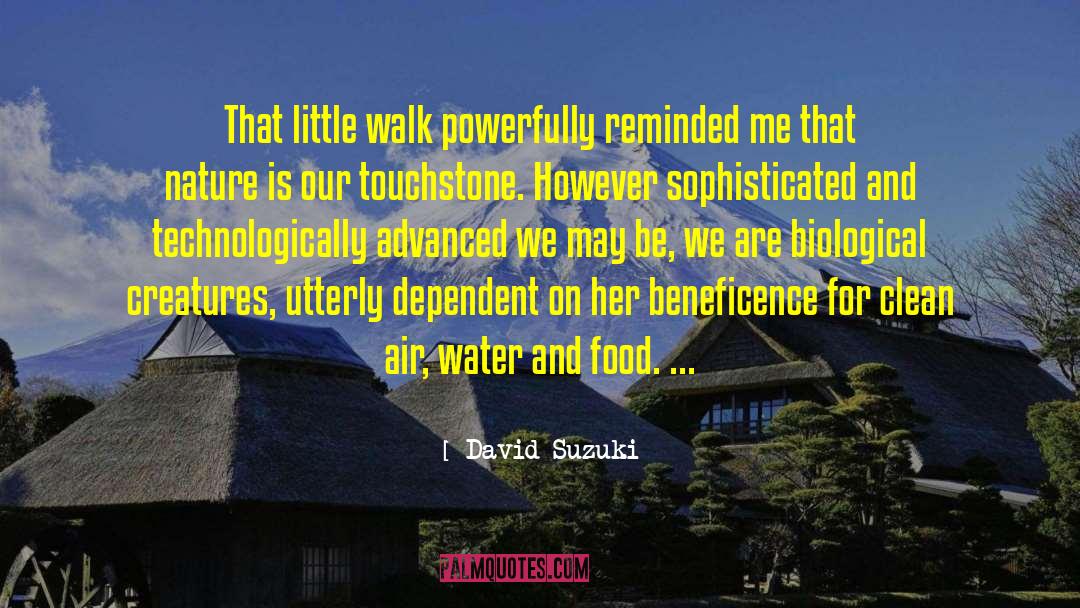 David Suzuki Quotes: That little walk powerfully reminded