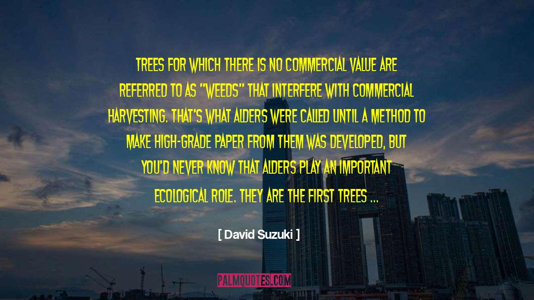 David Suzuki Quotes: Trees for which there is