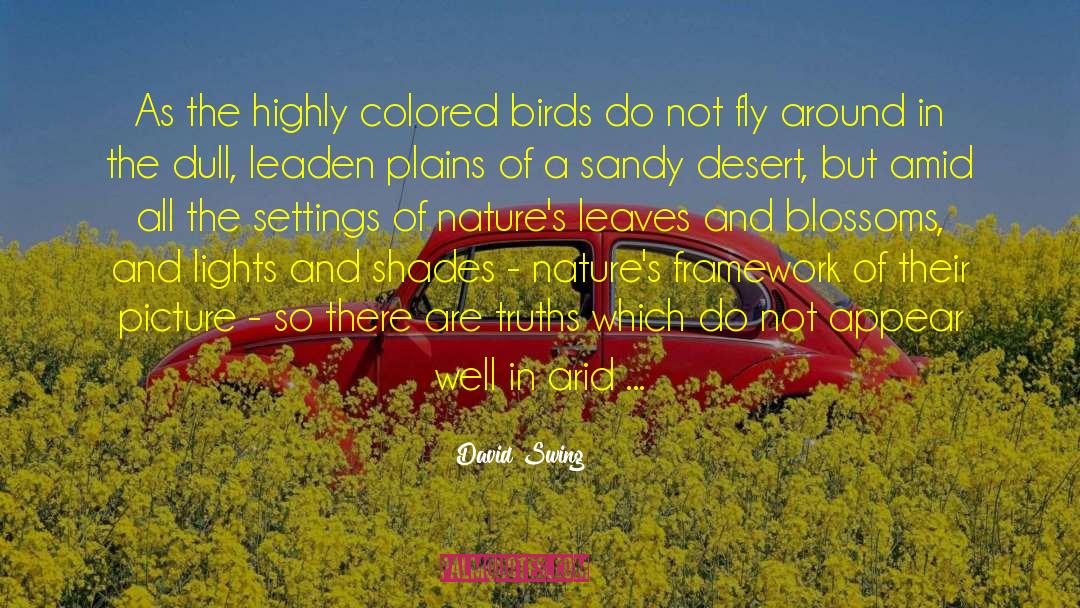 David Swing Quotes: As the highly colored birds