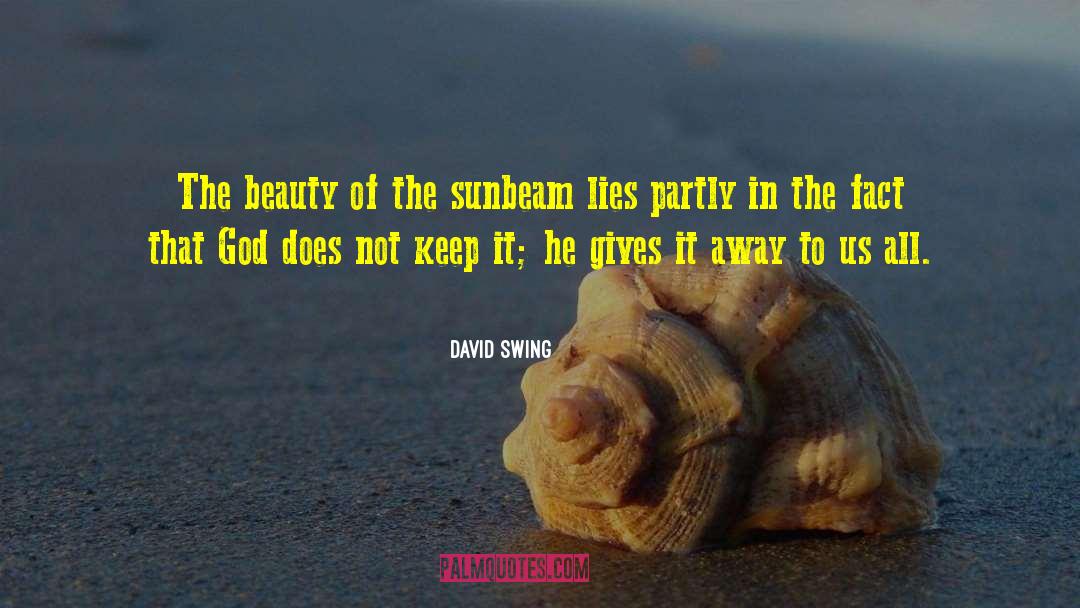 David Swing Quotes: The beauty of the sunbeam