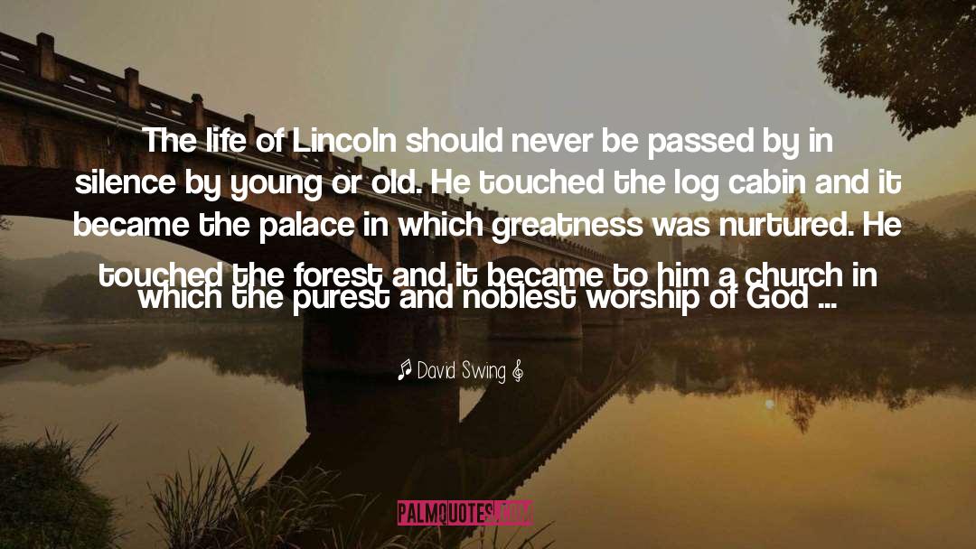 David Swing Quotes: The life of Lincoln should