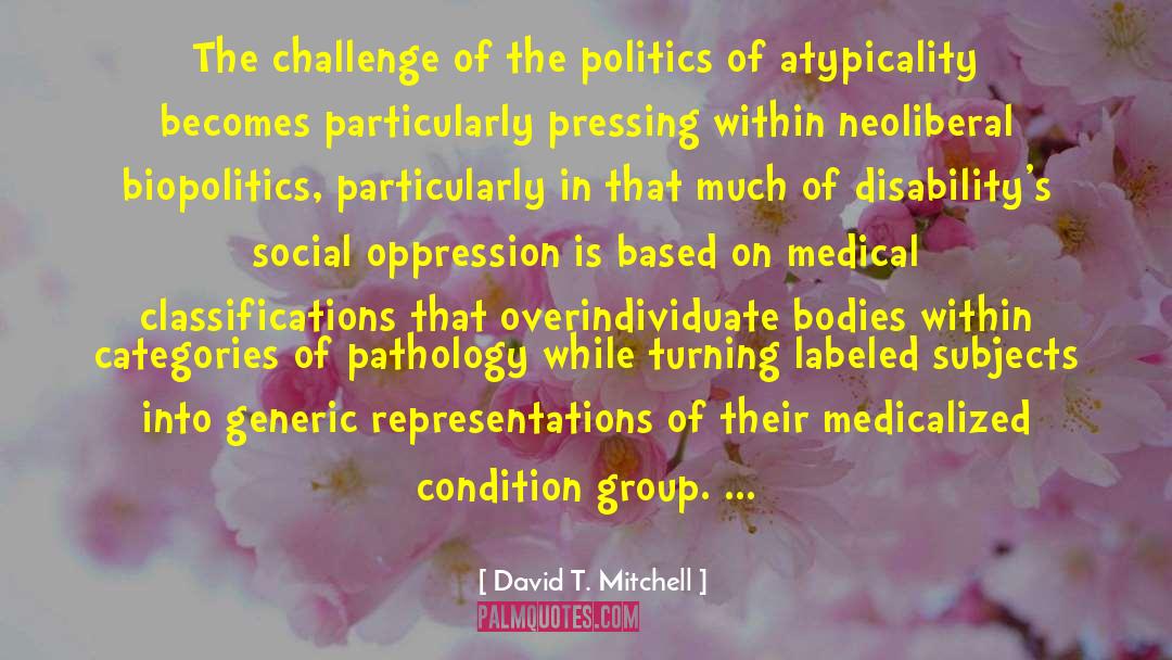 David T. Mitchell Quotes: The challenge of the politics