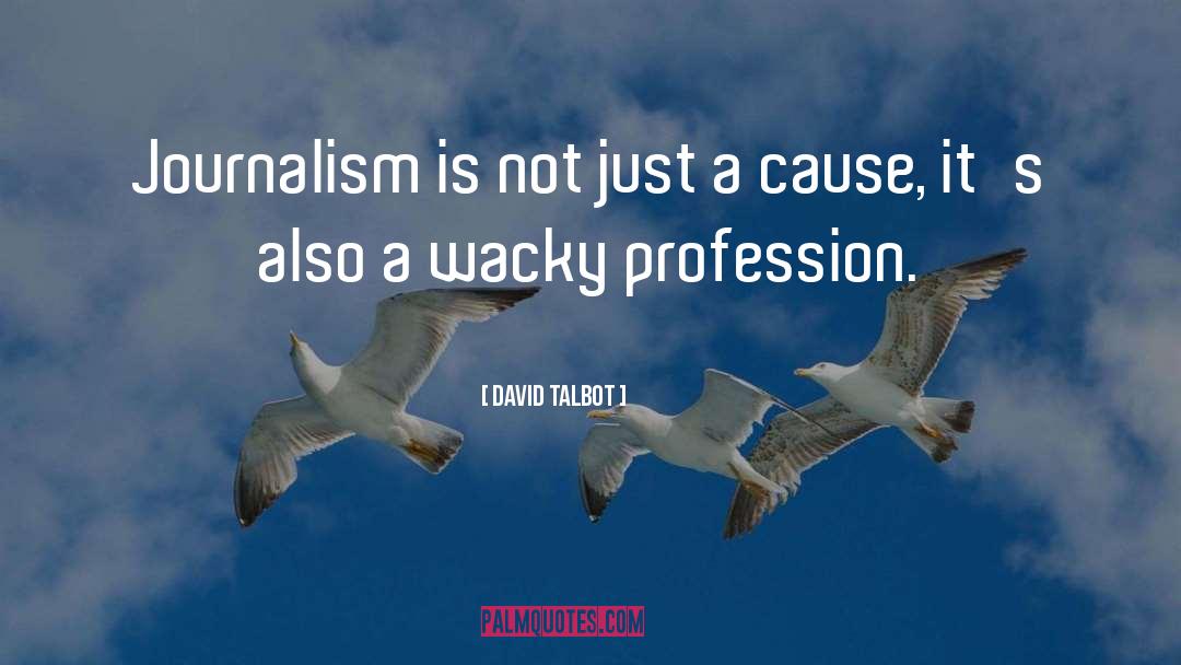 David Talbot Quotes: Journalism is not just a