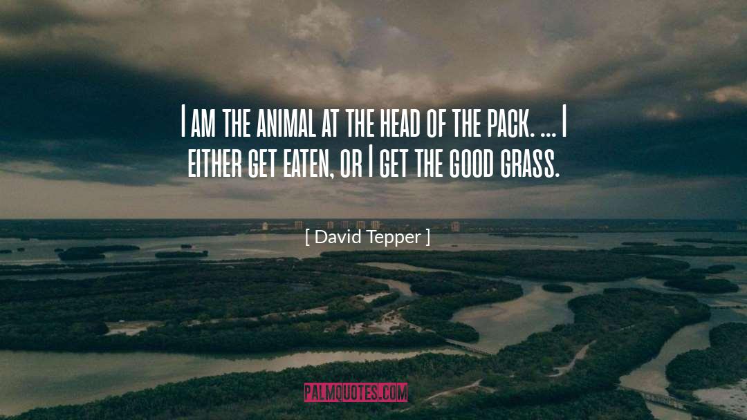 David Tepper Quotes: I am the animal at
