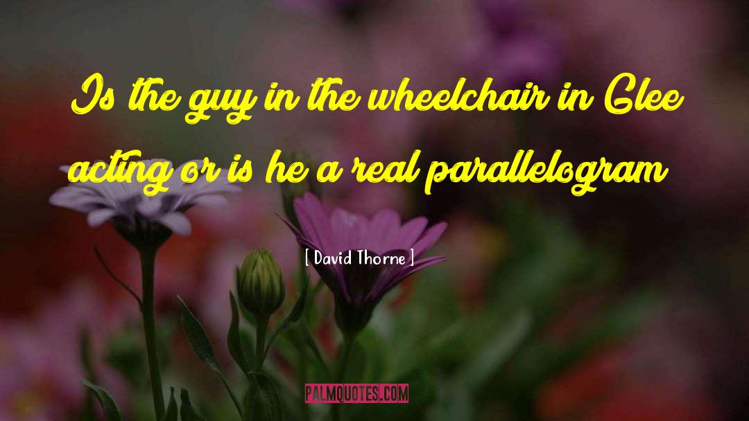 David Thorne Quotes: Is the guy in the