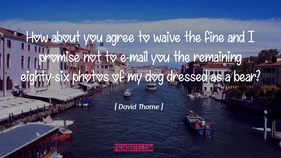 David Thorne Quotes: How about you agree to