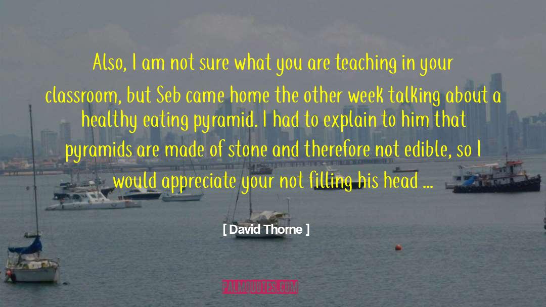 David Thorne Quotes: Also, I am not sure