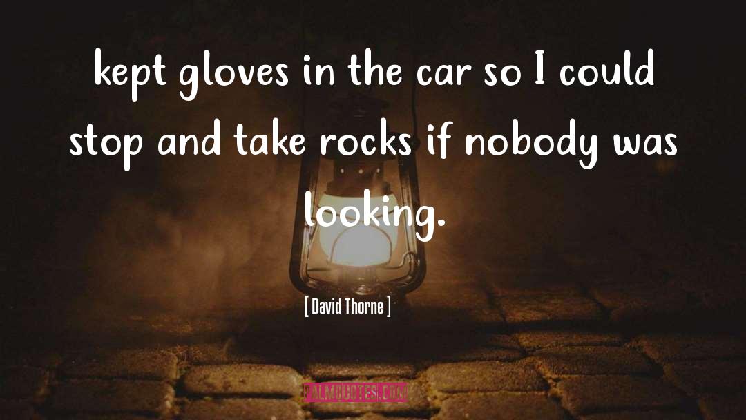 David Thorne Quotes: kept gloves in the car