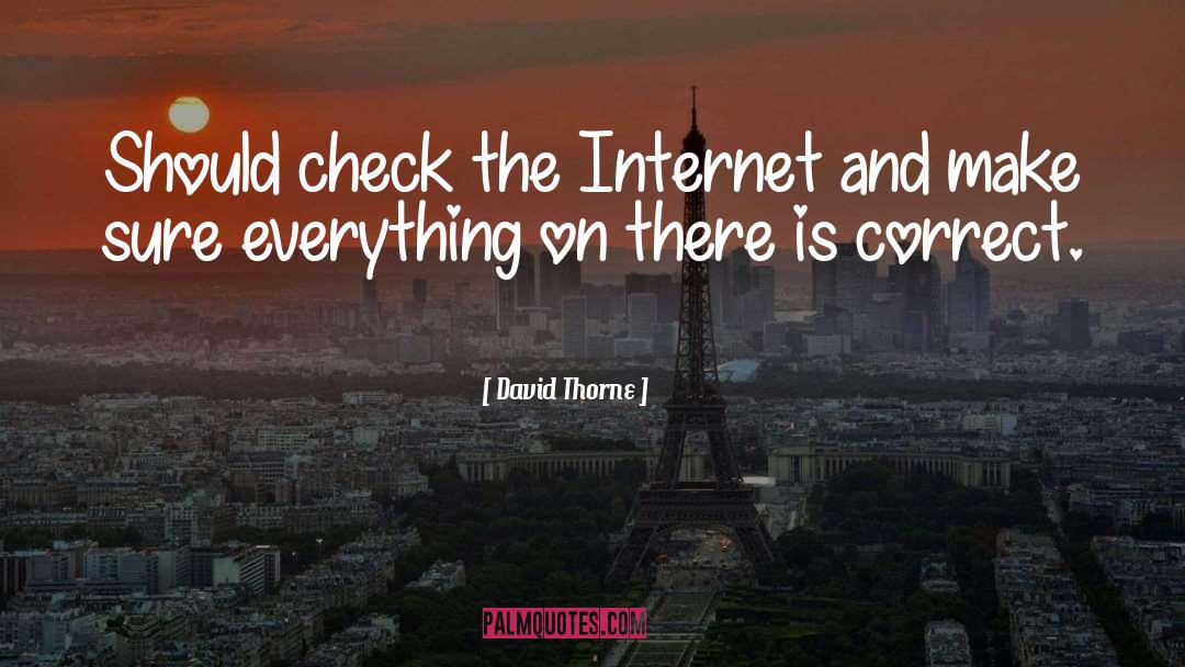 David Thorne Quotes: Should check the Internet and
