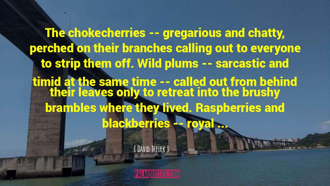 David Treuer Quotes: The chokecherries -- gregarious and
