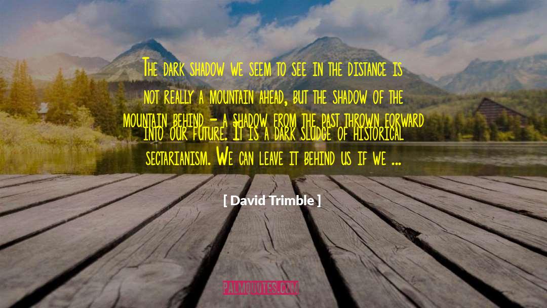 David Trimble Quotes: The dark shadow we seem