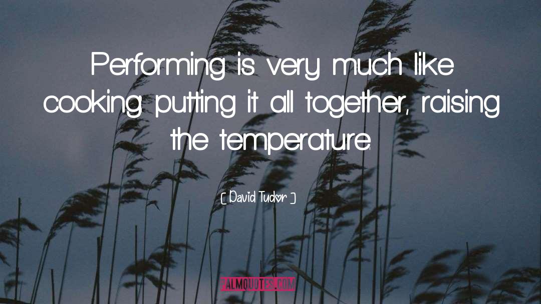 David Tudor Quotes: Performing is very much like