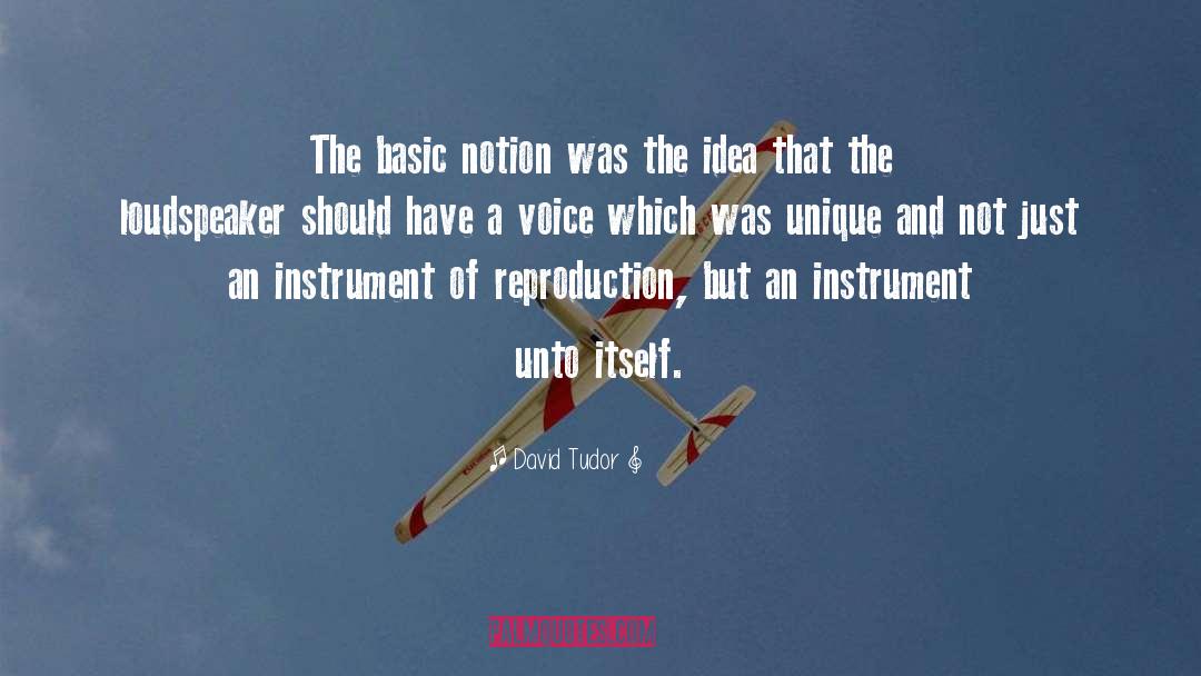 David Tudor Quotes: The basic notion was the