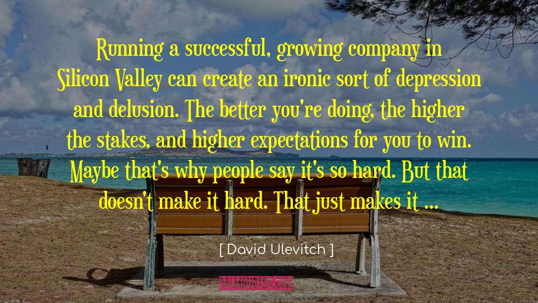 David Ulevitch Quotes: Running a successful, growing company