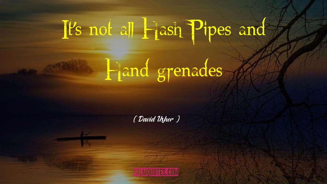 David Usher Quotes: It's not all Hash Pipes