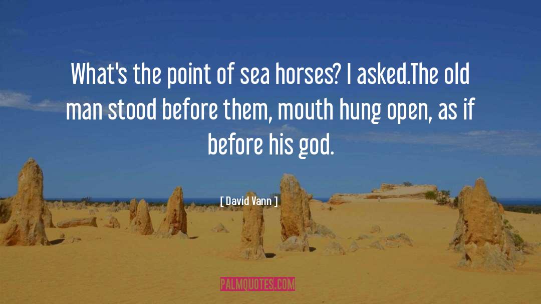 David Vann Quotes: What's the point of sea