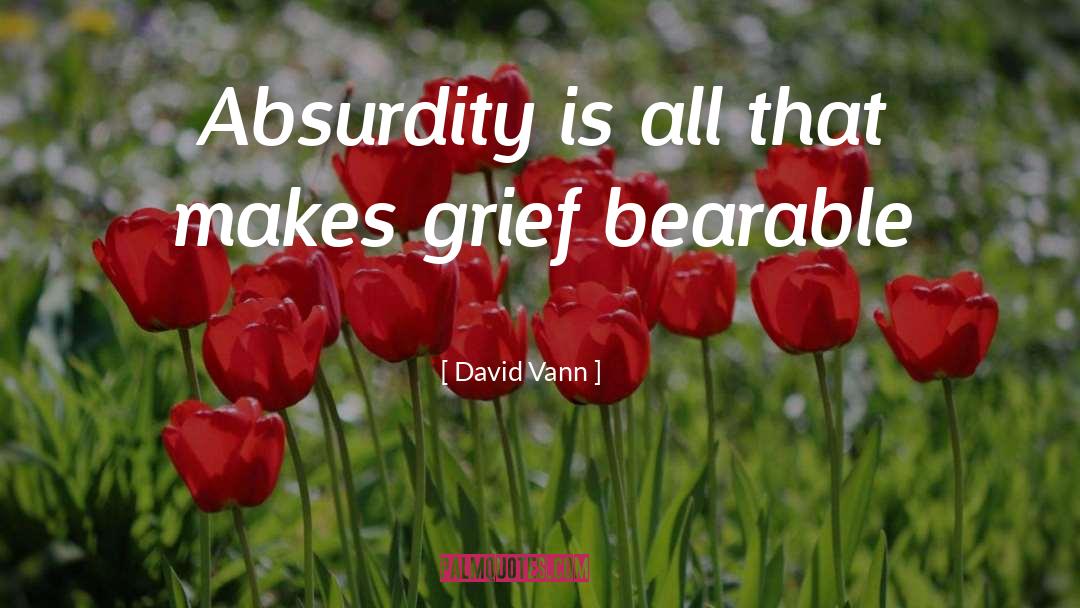 David Vann Quotes: Absurdity is all that makes