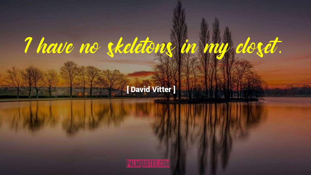 David Vitter Quotes: I have no skeletons in