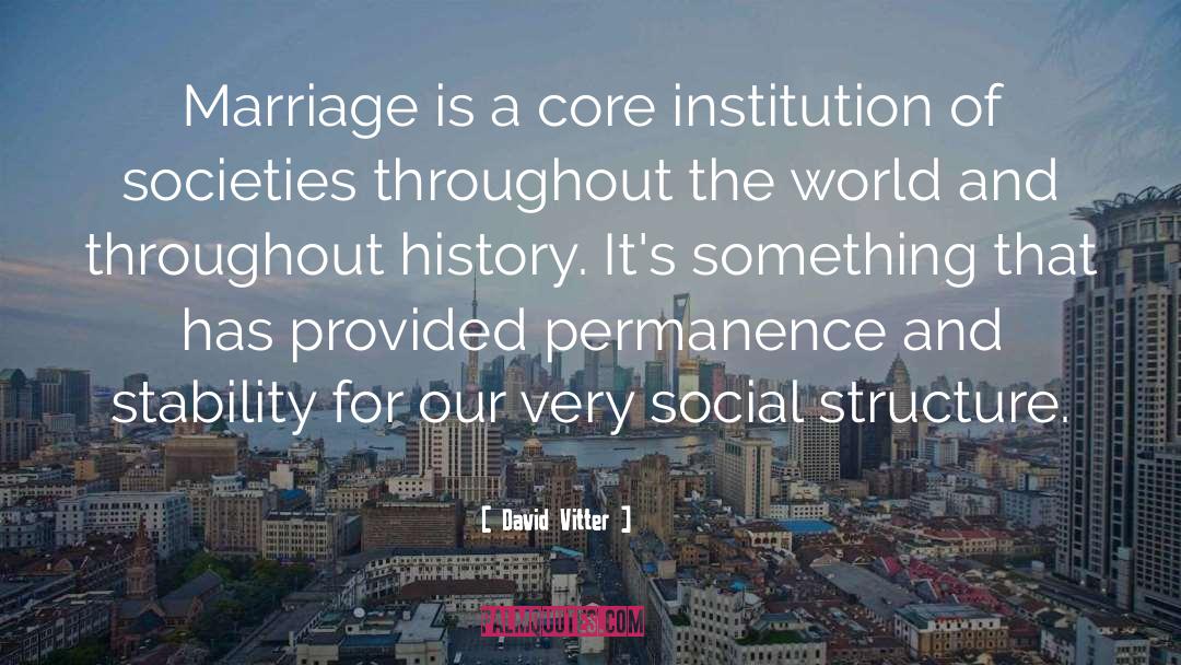 David Vitter Quotes: Marriage is a core institution