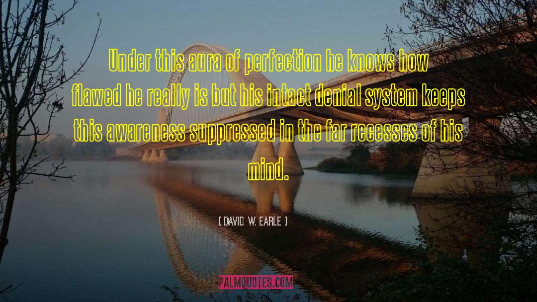 David W. Earle Quotes: Under this aura of perfection