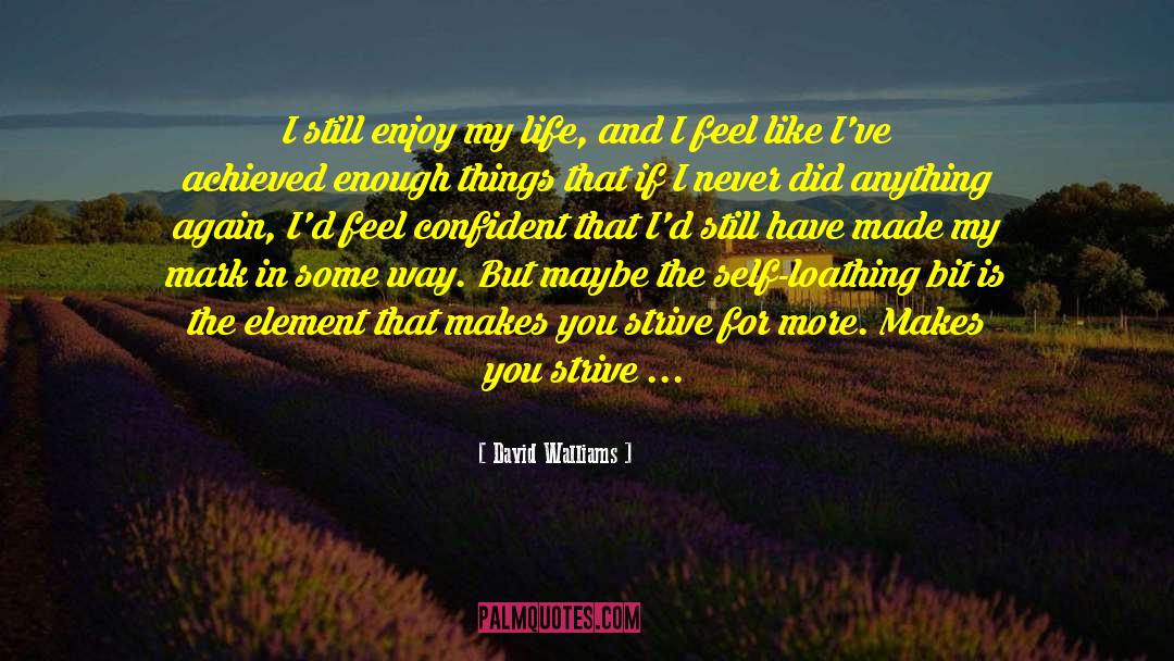 David Walliams Quotes: I still enjoy my life,