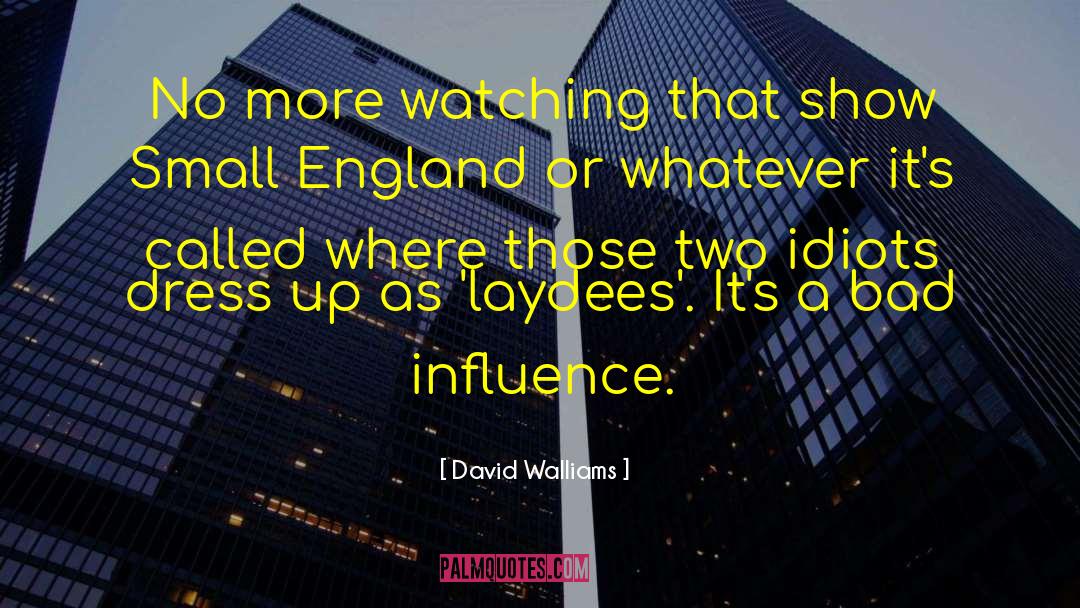 David Walliams Quotes: No more watching that show