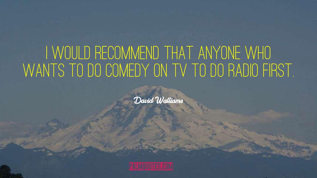 David Walliams Quotes: I would recommend that anyone