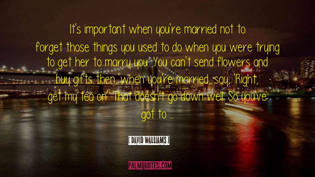 David Walliams Quotes: It's important when you're married