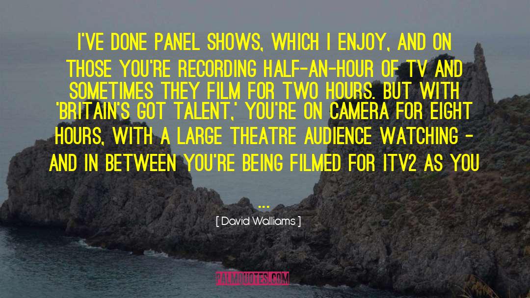 David Walliams Quotes: I've done panel shows, which