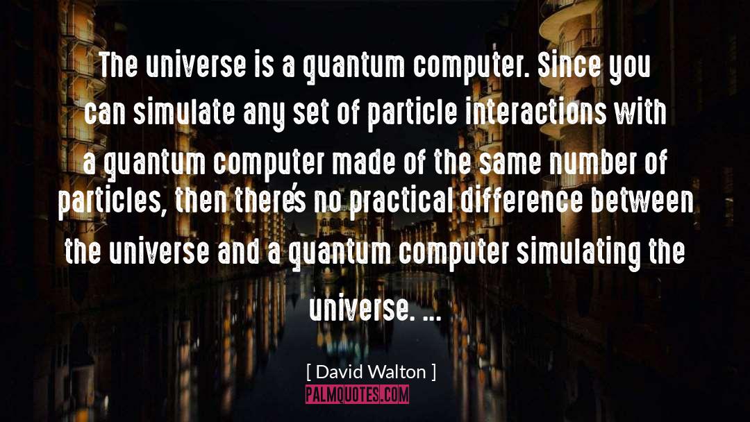 David Walton Quotes: The universe is a quantum