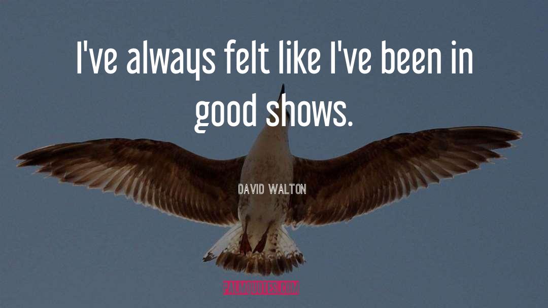 David Walton Quotes: I've always felt like I've