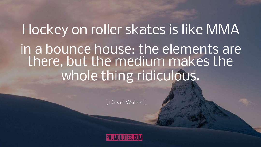 David Walton Quotes: Hockey on roller skates is